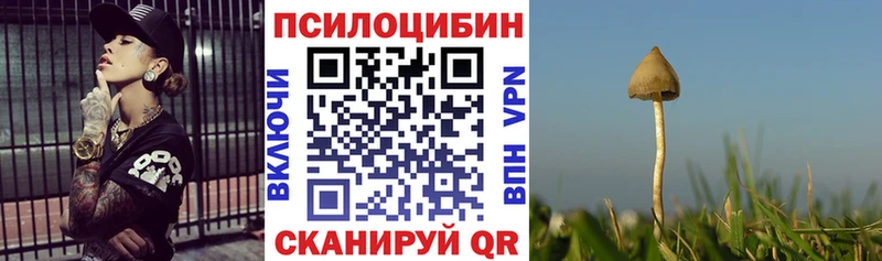 blacksprut ссылки  продажа наркотиков  Гаджиево  Псилоцибиновые грибы Cubensis 